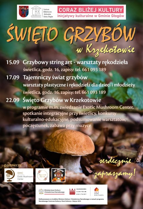 Miniaturka artykułu Święto Grzybów – Krzekotów