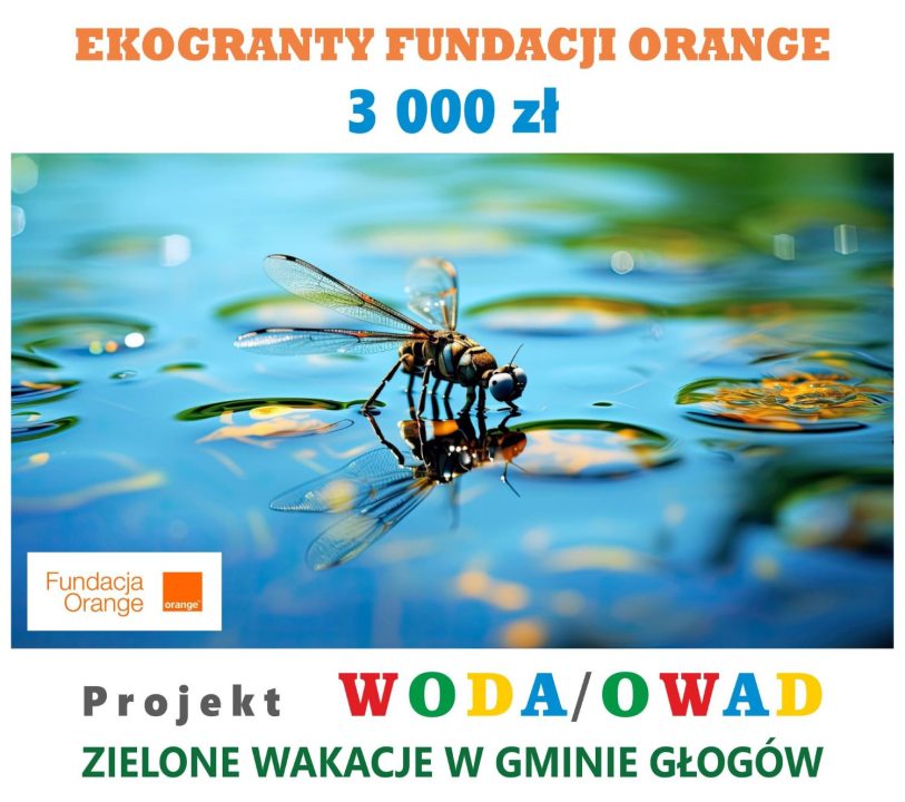 Miniaturka artykułu Mamy ekogrant na projekt WODA/OWAD!