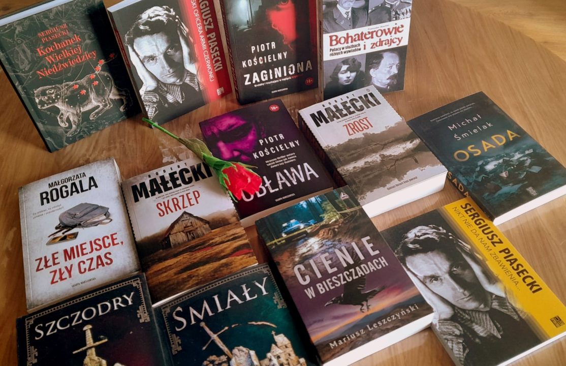 Miniaturka artykułu Dostawa nowości do naszej biblioteki w Serbach
