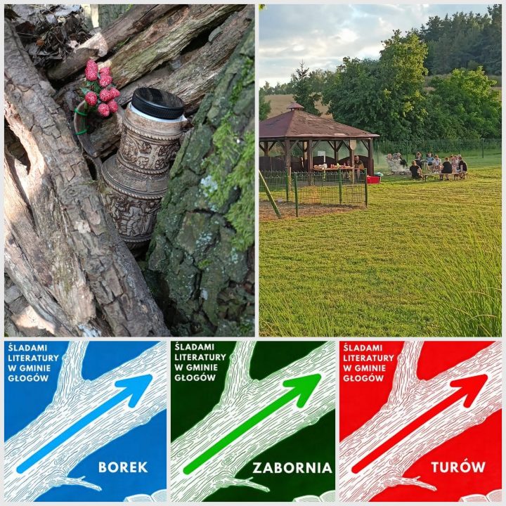 Miniaturka artykułu Śladami literatury w Gminie Głogów – Turów, 11.07
