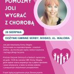 Miniaturka artykułu Kiermasz charytatywny podczas dożynek