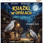 Miniaturka artykułu Biblioteczny escape room „Książki w opałach”! Zagramy?!